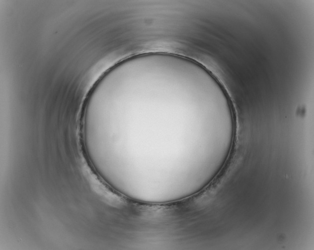 X0000111930949200908241112