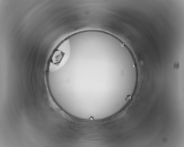 X0000111930950200908241112