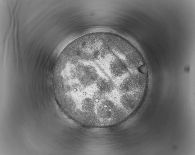 X0000111930953200908241112