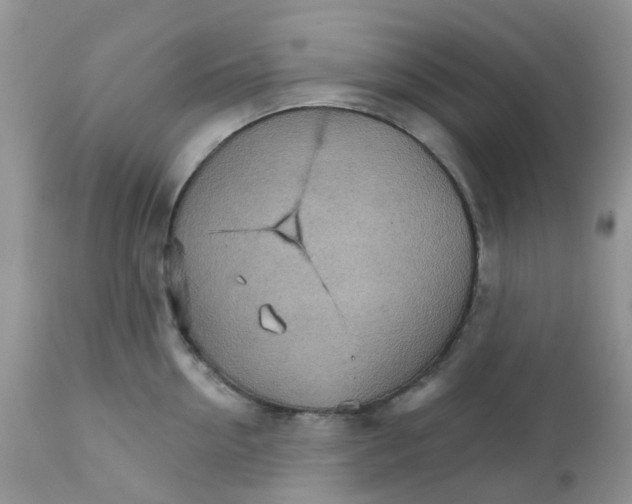 X0000111930954200908241112