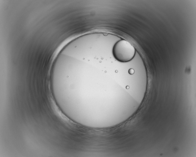 X0000111930955200908241112