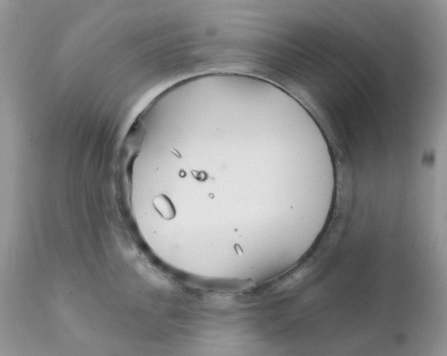 X0000111930956200908241112