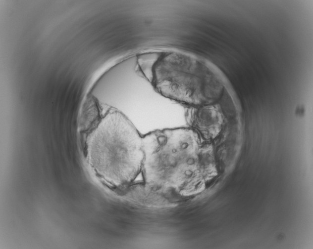 X0000111930957200908241112