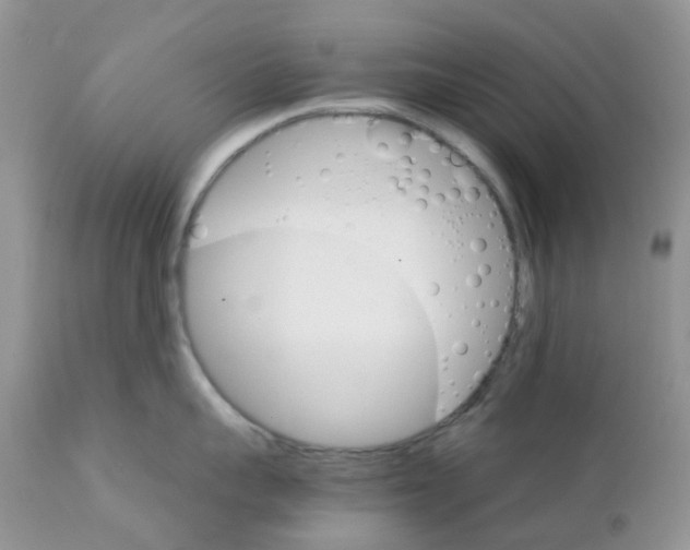 X0000111930959200908241112