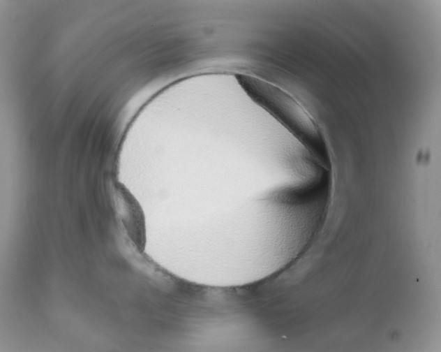 X0000111930960200908241112