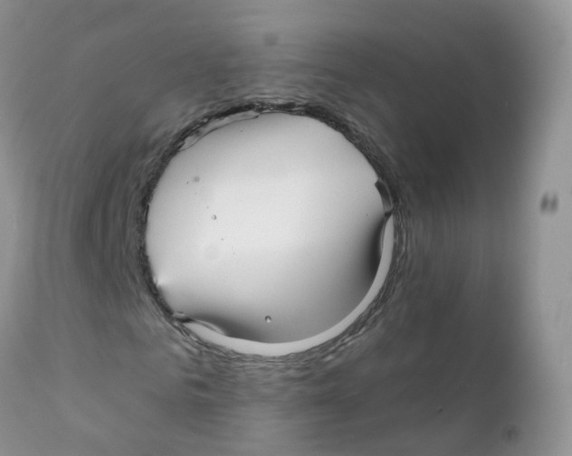 X0000111930961200908241112