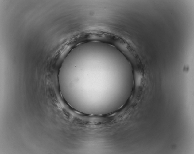 X0000111930965200908241112