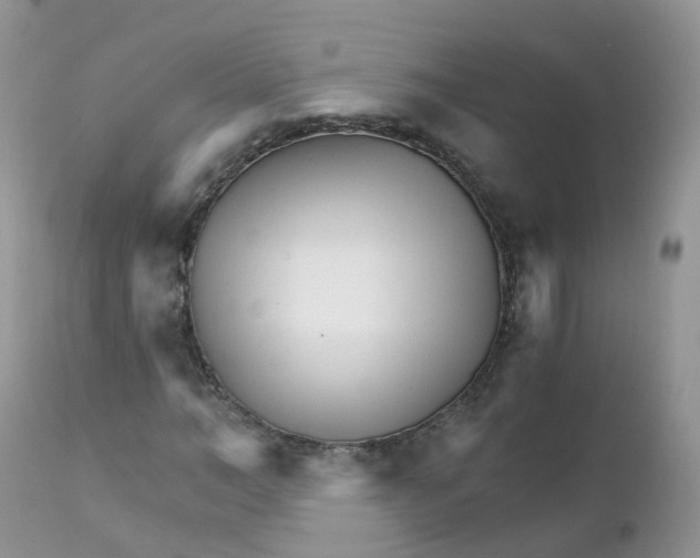 X0000111930966200908241112