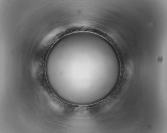 X0000111930967200908241112