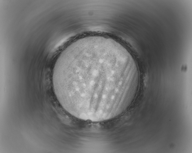 X0000111930968200908241112