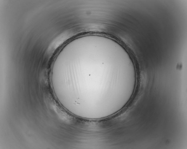 X0000111930970200908241112