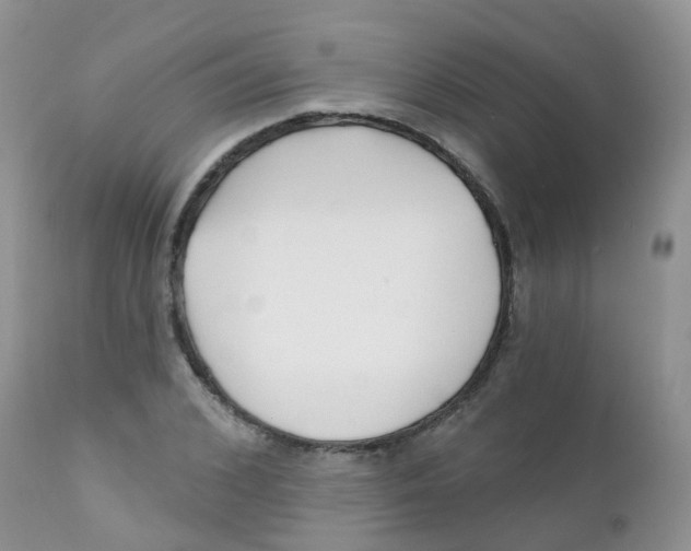 X0000111930976200908241111