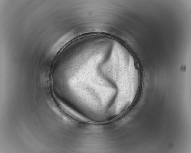 X0000111930977200908241111