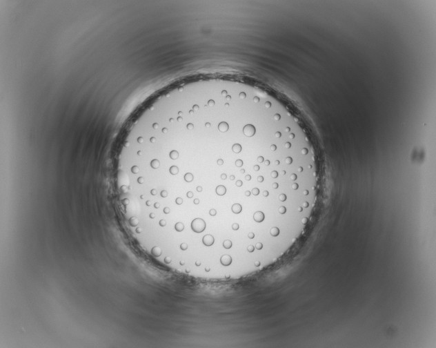 X0000111930978200908241111