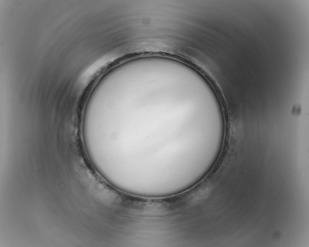 X0000111930979200908241111