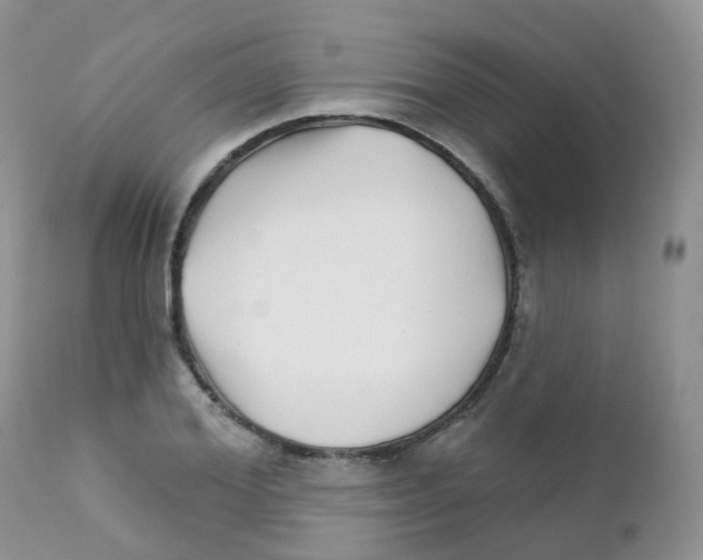 X0000111930980200908241111