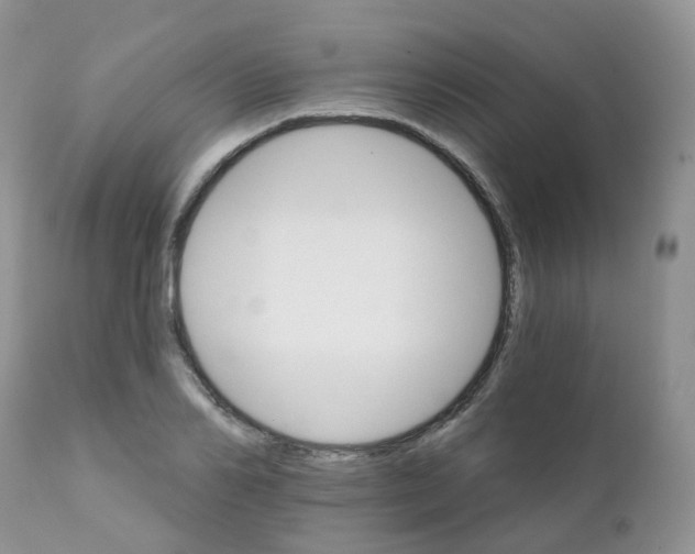 X0000111930982200908241111