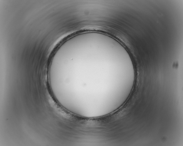 X0000111930984200908241111