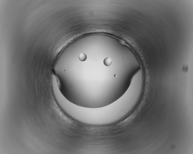 X0000111930985200908241111