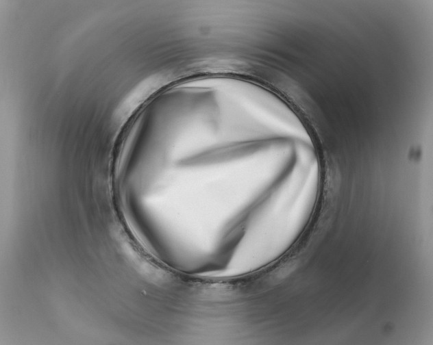 X0000111930986200908241111