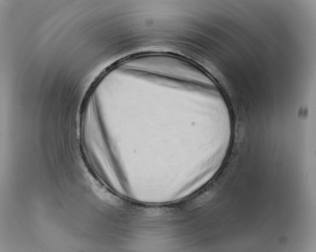 X0000111930988200908241111