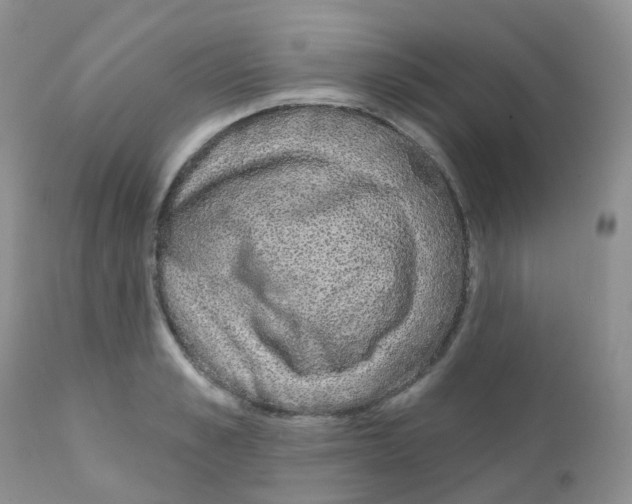 X0000111930989200908241111