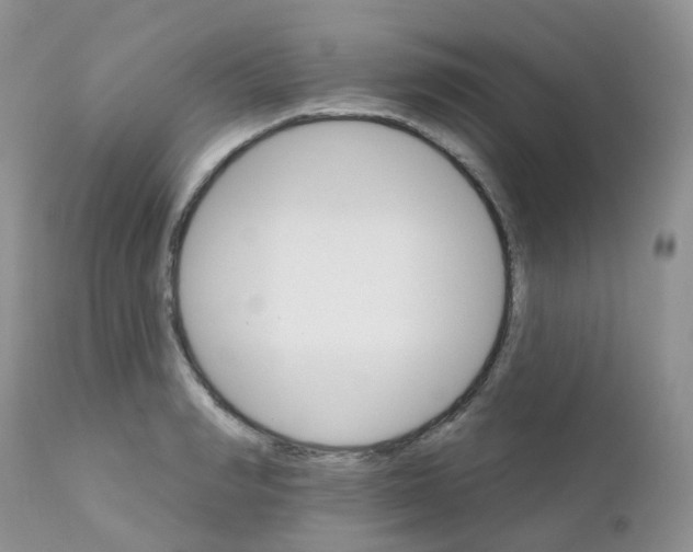 X0000111930990200908241111