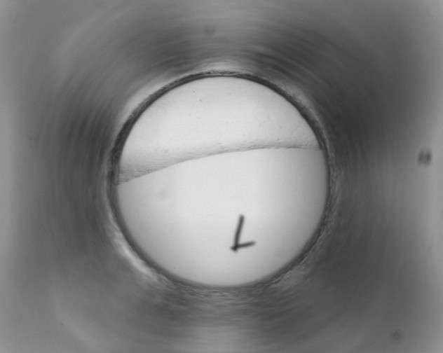 X0000111930991200908241111