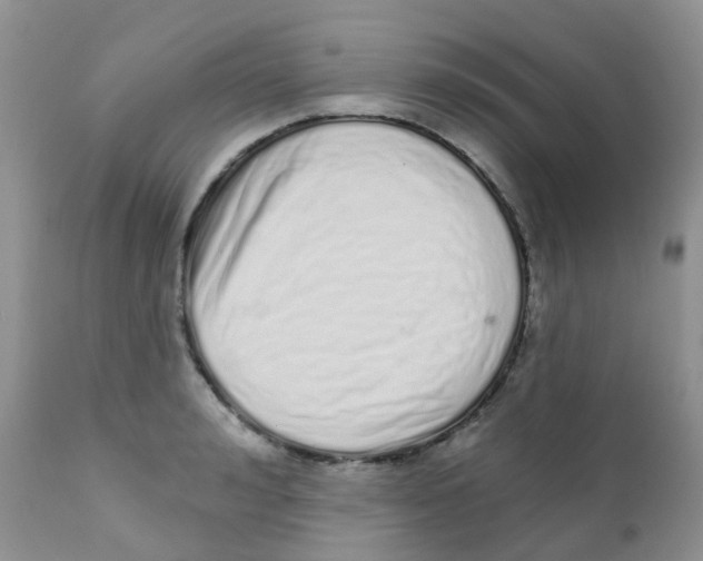 X0000111930992200908241111