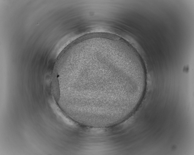 X0000111930993200908241111