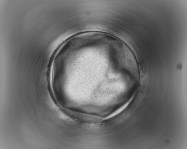 X0000111930995200908241111