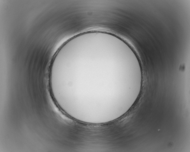 X0000111930999200908241111