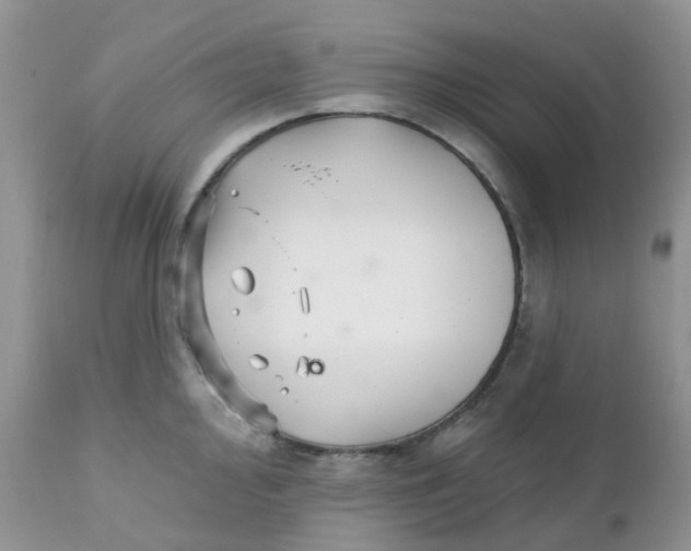 X0000111931000200908241111