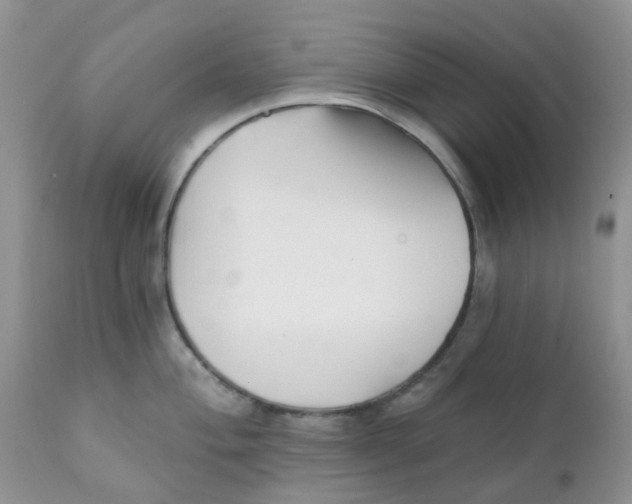 X0000111931004200908241111