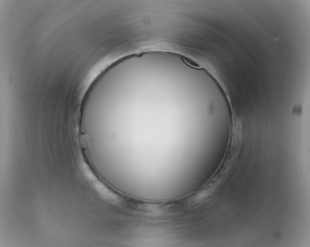 X0000111931005200908241111