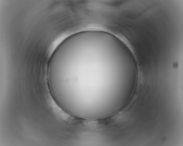 X0000111931006200908241111