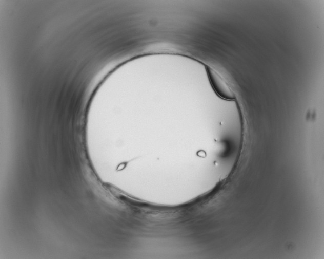 X0000111931008200908241111