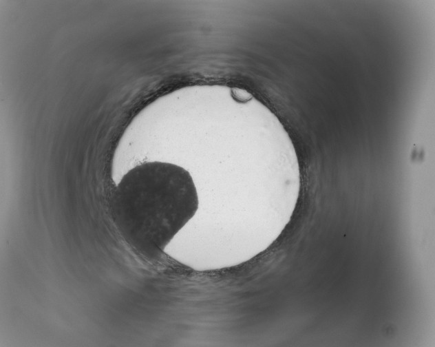 X0000111931009200908241110