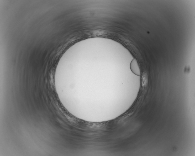 X0000111931011200908241110