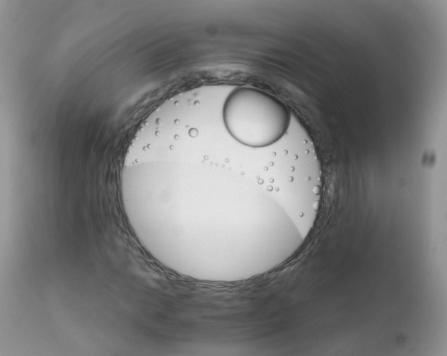 X0000111931014200908241110