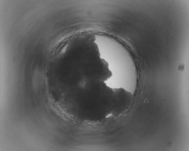 X0000111931015200908241110