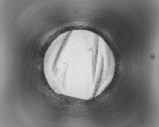 X0000111931016200908241110