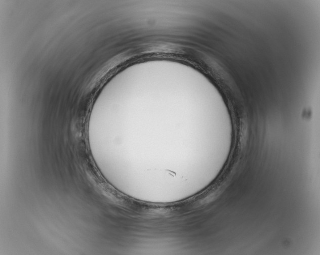 X0000111931017200908241110