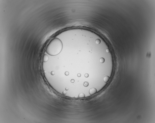 X0000111931018200908241110