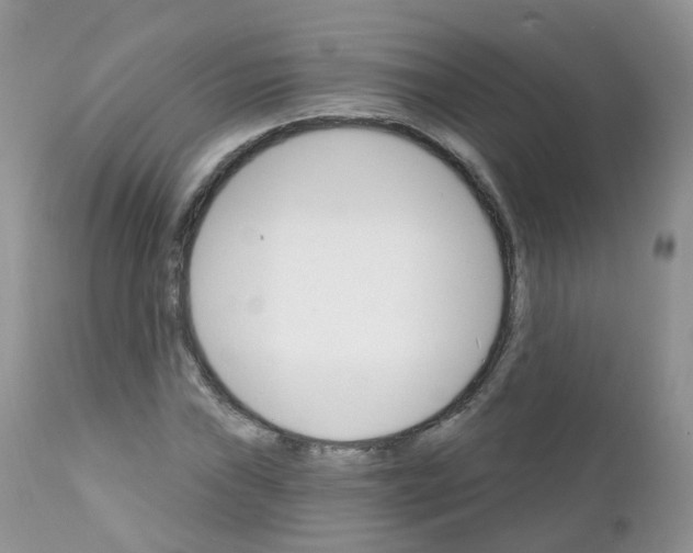 X0000111931019200908241110