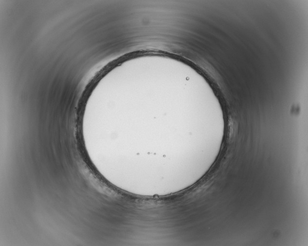 X0000111931020200908241110