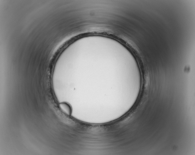 X0000111931021200908241110