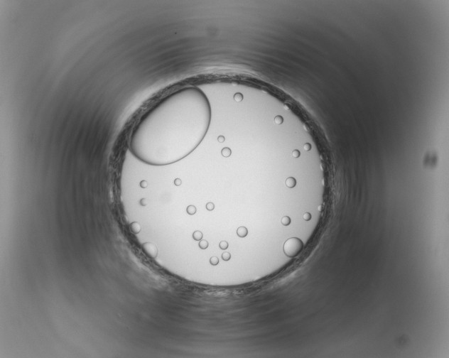 X0000111931022200908241110