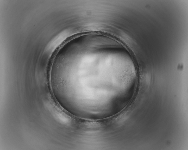 X0000111931023200908241110