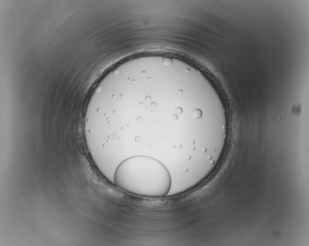 X0000111931025200908241110